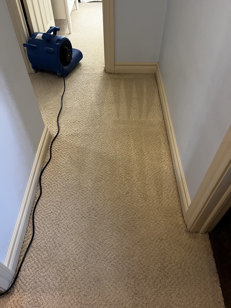 Before Cleaning- Oelwein Iowa